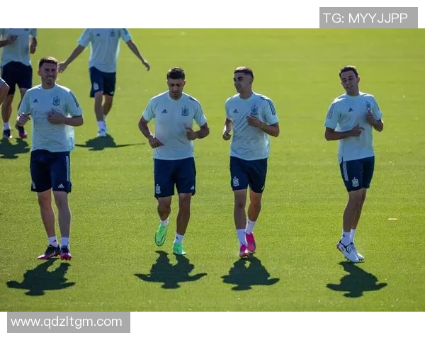 西班牙队在欧锦赛中的团队配合与战术执行全面分析